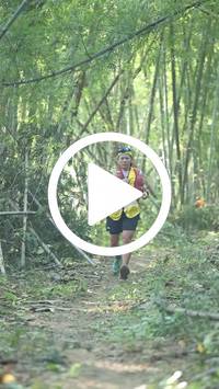 BIB:  <button type="button" onclick="openModal(28041982)" class="btn btn-primary btn-sm float-right" data-toggle="modal" data-target=".modal-high-quality">
                <i class="fa fa-download"></i> Download
                </button>